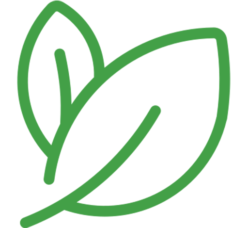 Quality & Sustainability