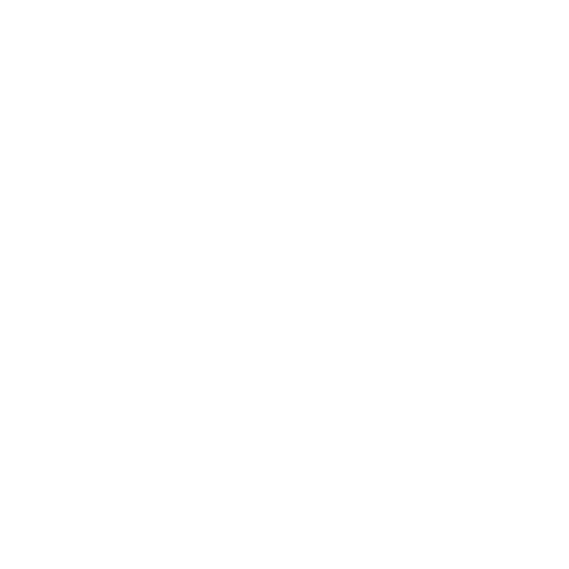 governance control